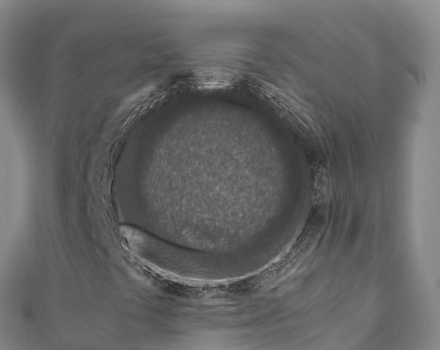 X0000110731441200906191516