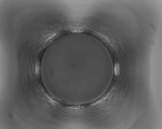 X0000110731444200906191516