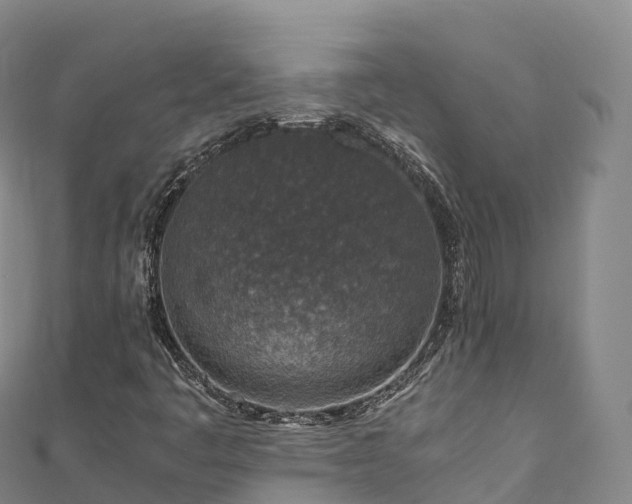 X0000110731445200906191516