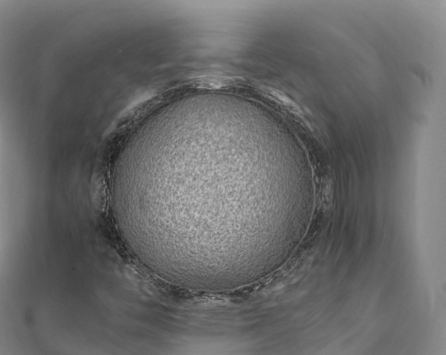 X0000110731446200906191516