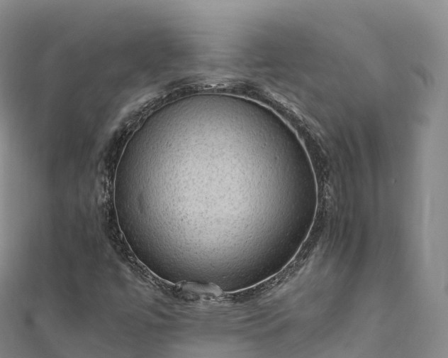 X0000110731447200906191516