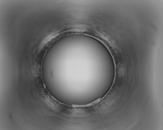 X0000110731448200906191516