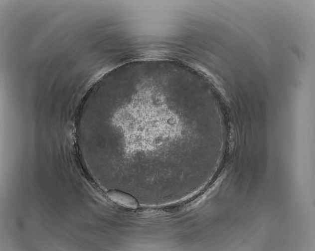 X0000110731449200906191516