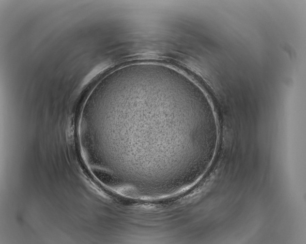 X0000110731450200906191516