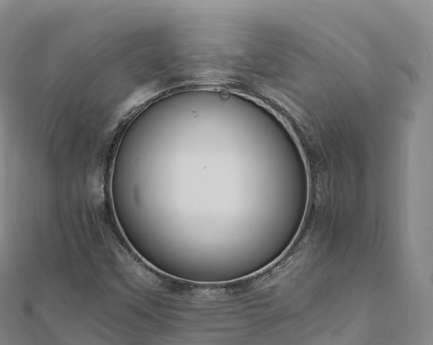 X0000110731451200906191516