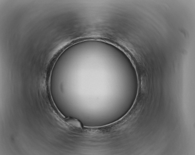 X0000110731452200906191516