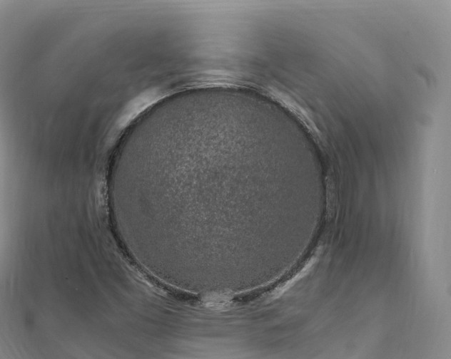 X0000110731453200906191516