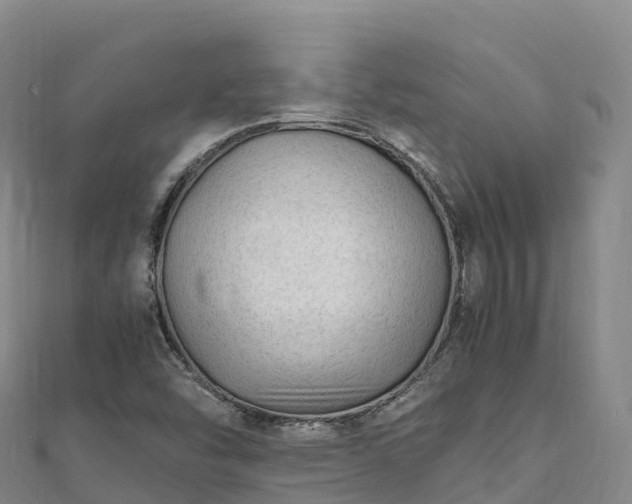 X0000110731454200906191516