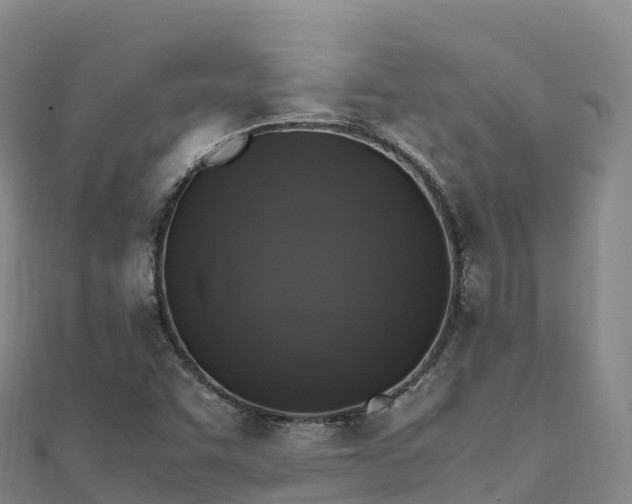 X0000110731455200906191516