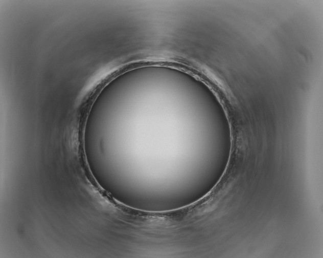 X0000110731456200906191516