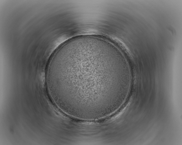 X0000110731457200906191516