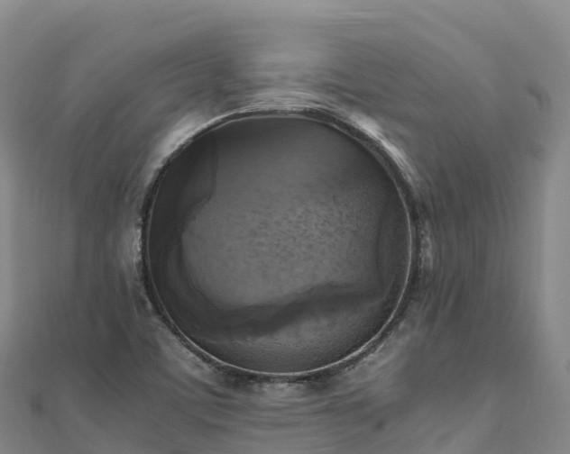 X0000110731459200906191516