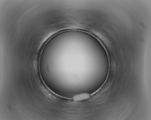 X0000110731460200906191516