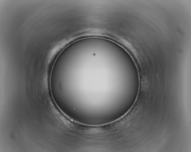 X0000110731464200906191516