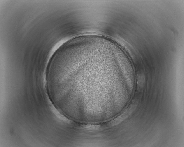 X0000110731466200906191516