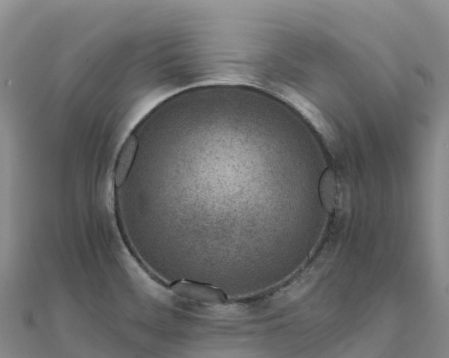 X0000110731468200906191516