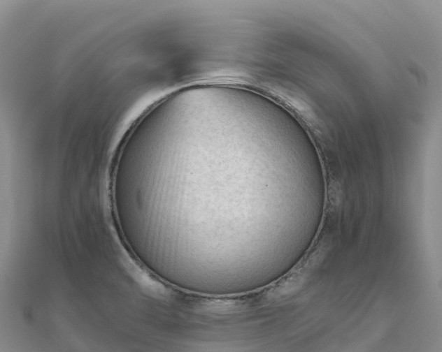 X0000110731470200906191516