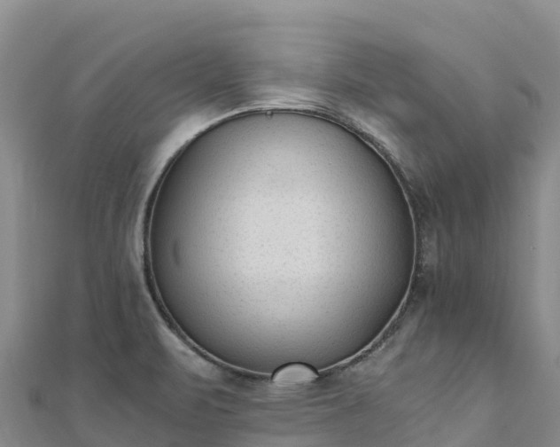 X0000110731471200906191516