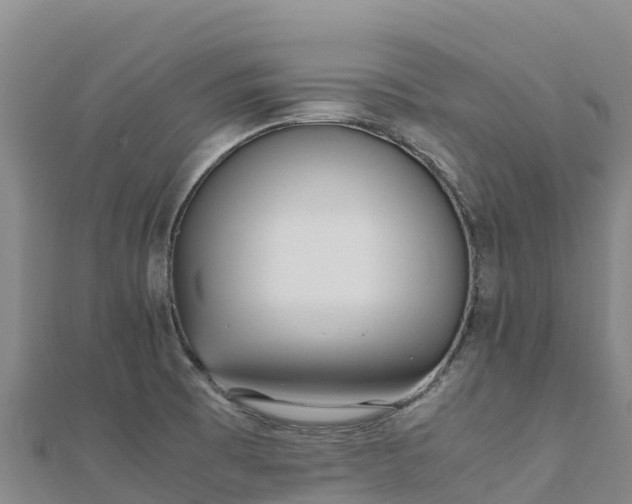 X0000110731473200906191516