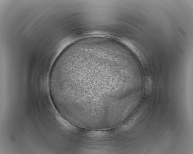 X0000110731474200906191516