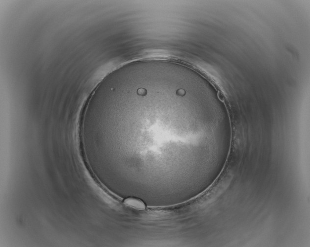 X0000110731475200906191516