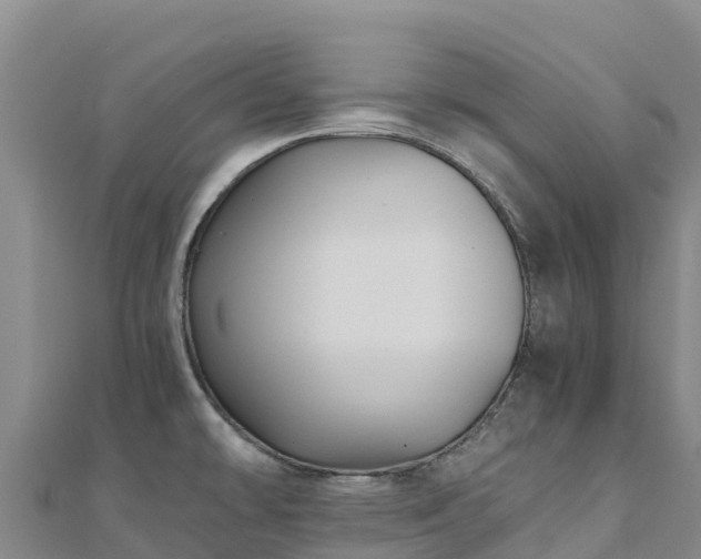 X0000110731478200906191516