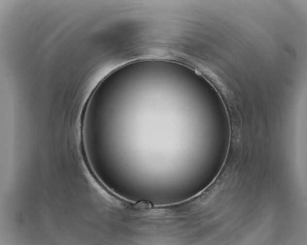 X0000110731479200906191516