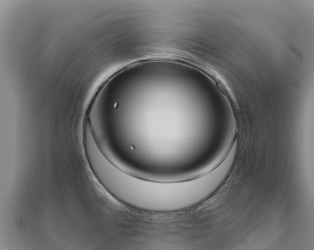 X0000110731480200906191516