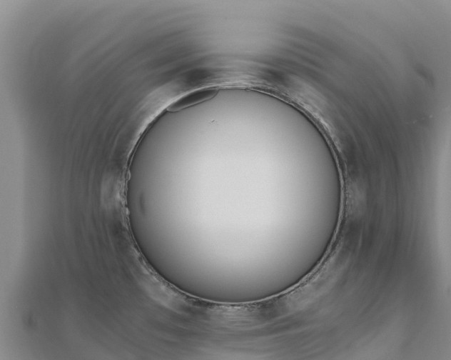 X0000110731481200906191516