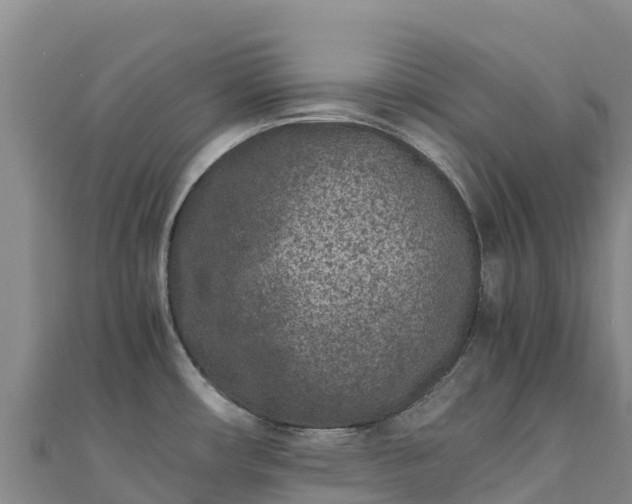 X0000110731482200906191516