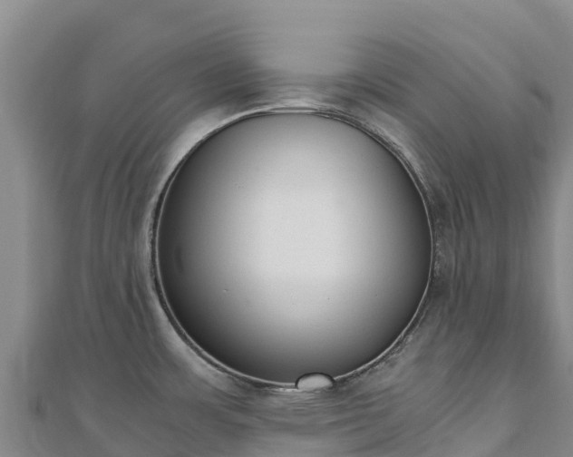 X0000110731483200906191516