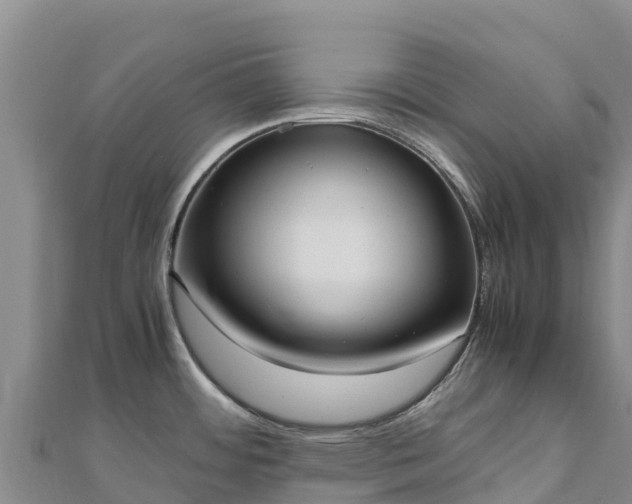 X0000110731484200906191516