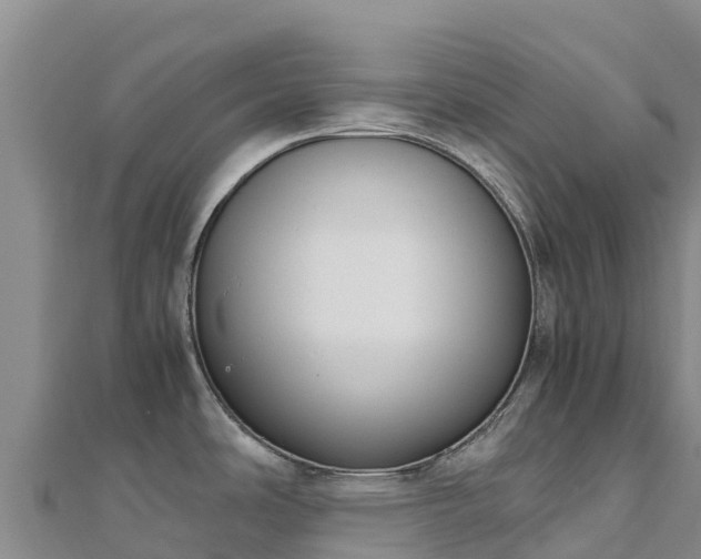 X0000110731486200906191516