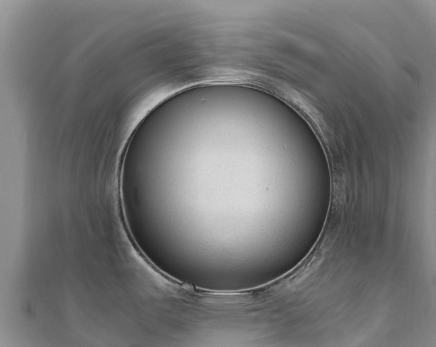 X0000110731487200906191516