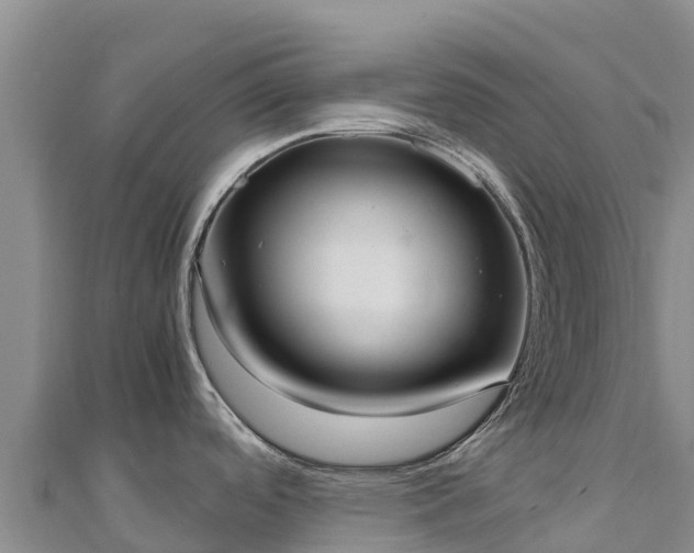 X0000110731488200906191516