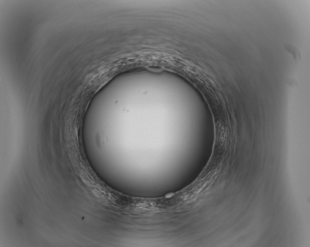 X0000110731489200906191515