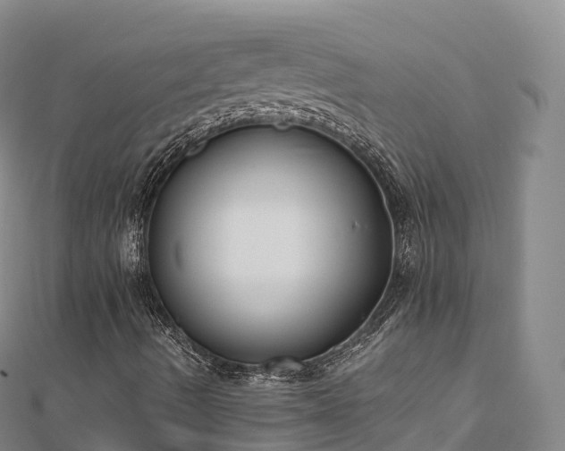 X0000110731490200906191515