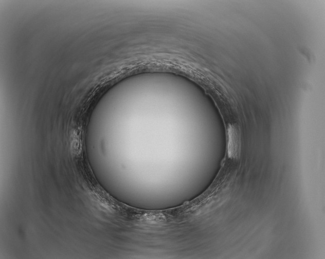 X0000110731491200906191515