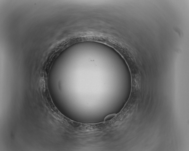 X0000110731493200906191515