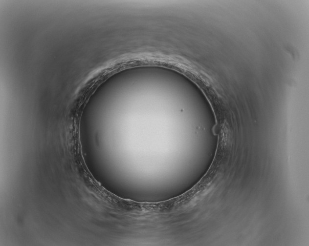X0000110731494200906191515