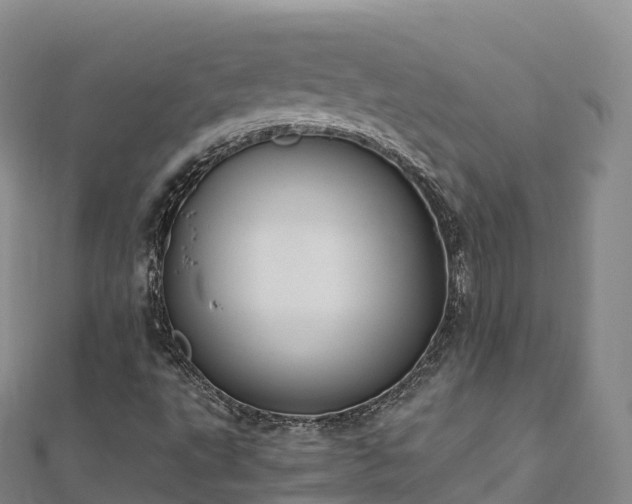 X0000110731495200906191515