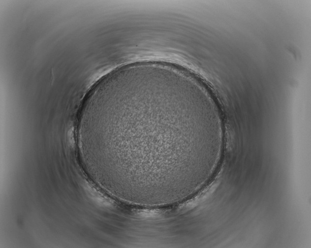 X0000110731497200906191515