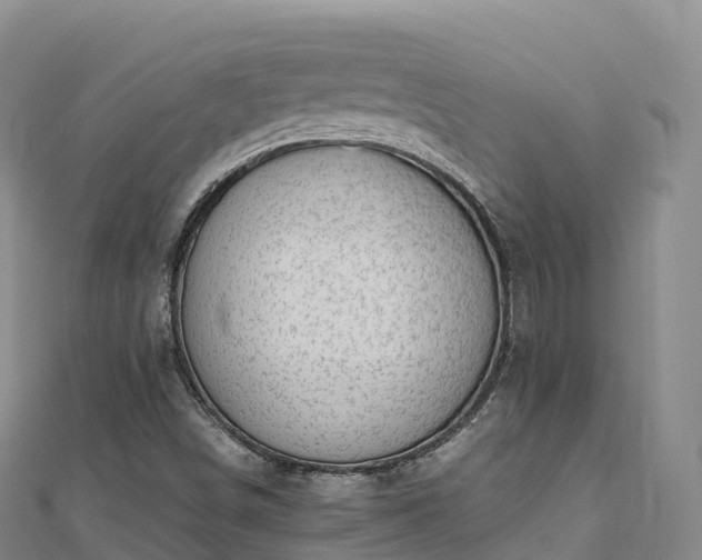 X0000110731498200906191515