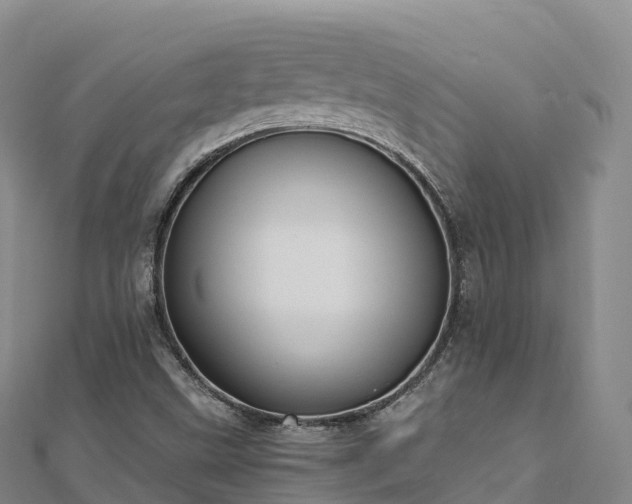 X0000110731499200906191515