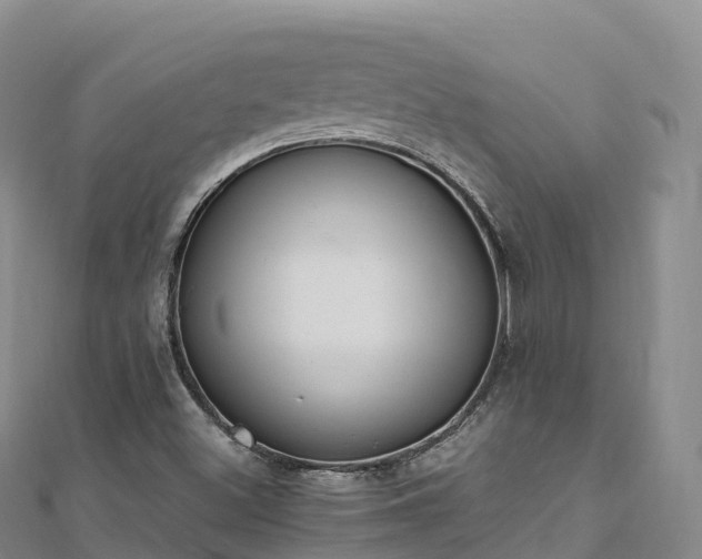 X0000110731500200906191515