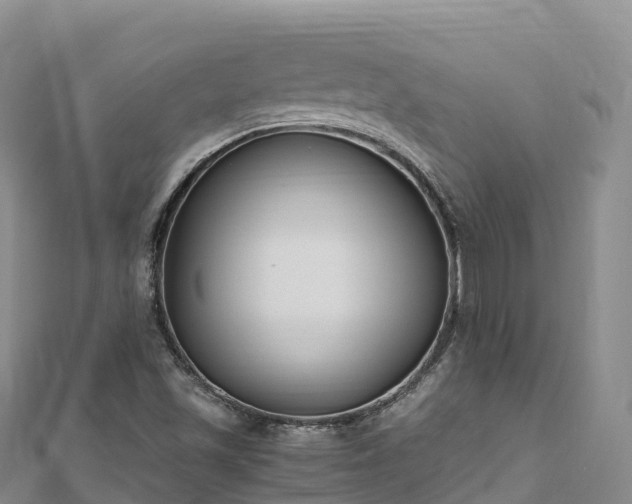 X0000110731501200906191515