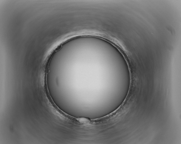 X0000110731504200906191515