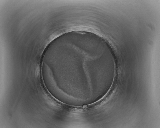 X0000110731505200906191515