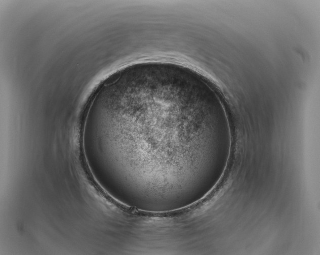 X0000110731506200906191515