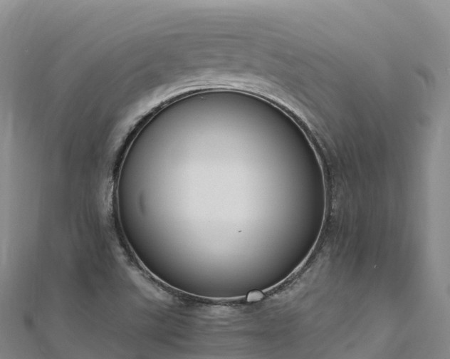 X0000110731507200906191515